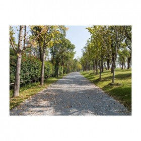 四川省雅安市透水地坪  彩色透水混凝土地坪材料生產(chǎn)廠家  透水地坪生產(chǎn)廠家  生態(tài)透水砼粘接劑  現(xiàn)場(chǎng)施工免費(fèi)指導(dǎo)   量大送貨到工地