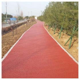 玉林市 操場透水地坪 停車場透水地坪 生態(tài)透水路面 透水混泥土生產(chǎn)廠家 專業(yè)接單