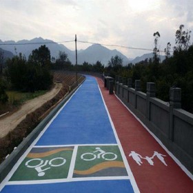 彩色混凝土 細粒式彩色混凝土 透水彩色路面 生態透水砼 性價比高的材料廠家