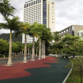 露骨彩色透水混凝土 彩色地面透水混凝土 透水彩色路面 一條龍服務