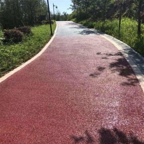 彩色透水混凝土 5cm透水砼 生態透水混凝土材料廠家 透水混凝土粘接劑 免費送貨到工地