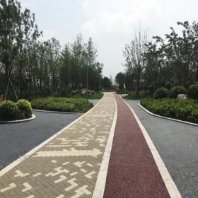 透水混凝土街道 10CM彩色透水砼 透水地坪 彩色透水綠道 優質廠商