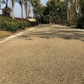 無砂透水混凝土 彩色整體透水路面 透水彩色地面 源頭廠家提供